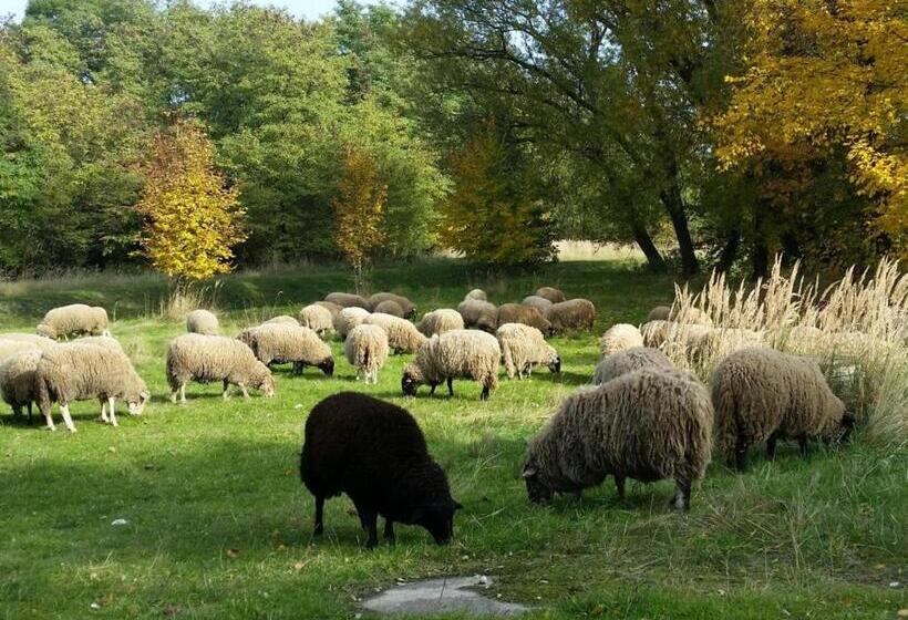 Отель Gut Am See