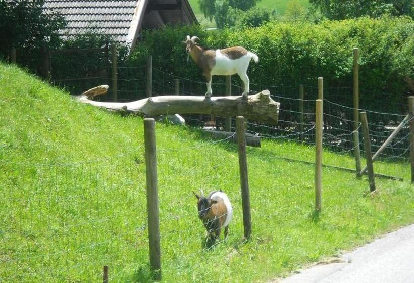 ホテル Lenzenhof, Familie Christian Und Stefanie Spitzl