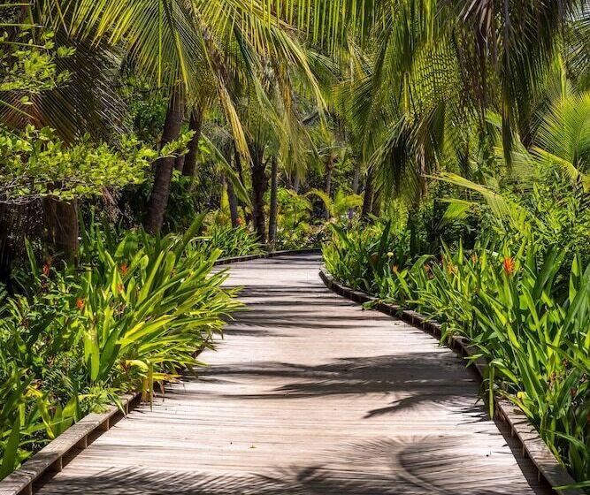 فندق Nayara Bocas Del Toro