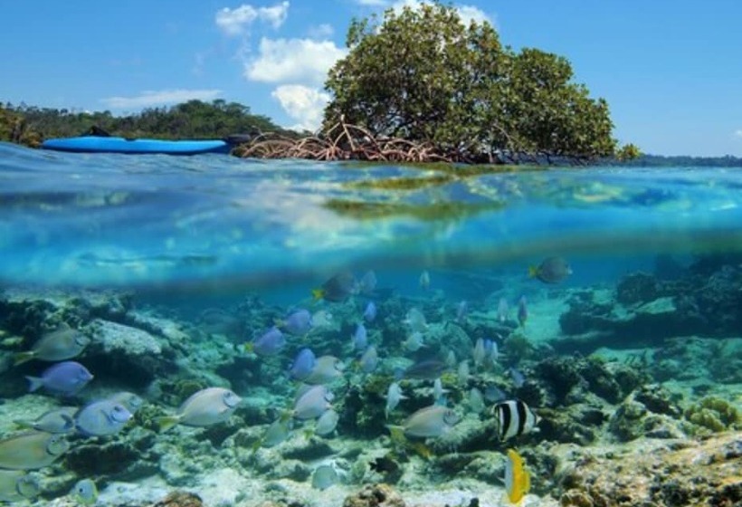 فندق Nayara Bocas Del Toro