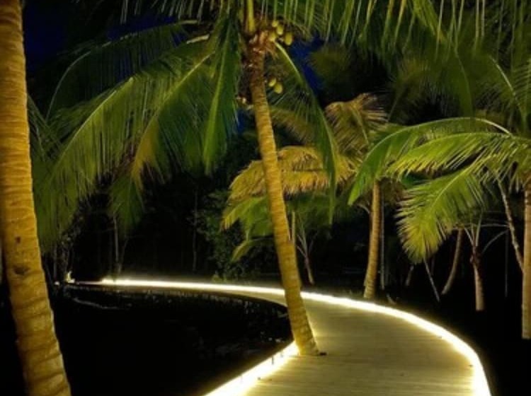 فندق Nayara Bocas Del Toro