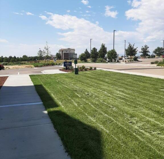 Microtel Inn & Suites By Wyndham Loveland