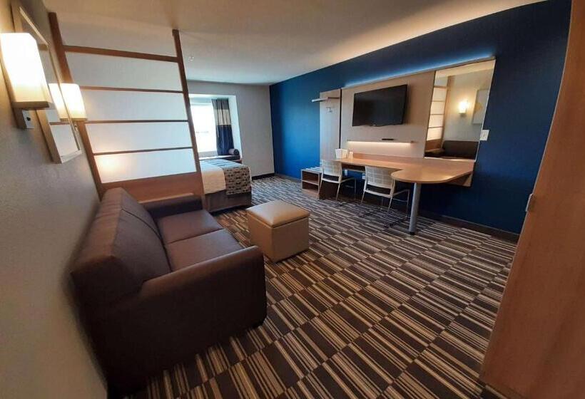 Microtel Inn & Suites By Wyndham Loveland