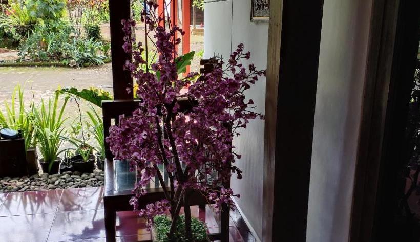 بنسيون Griya Ndelik