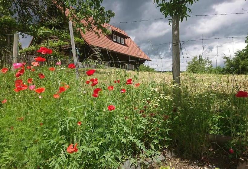 بنسيون Gästehaus Der Gamser Winzerstube