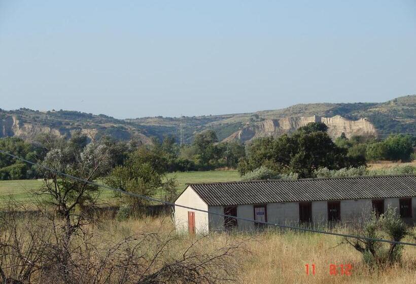 膳宿费 Hostal Alfil