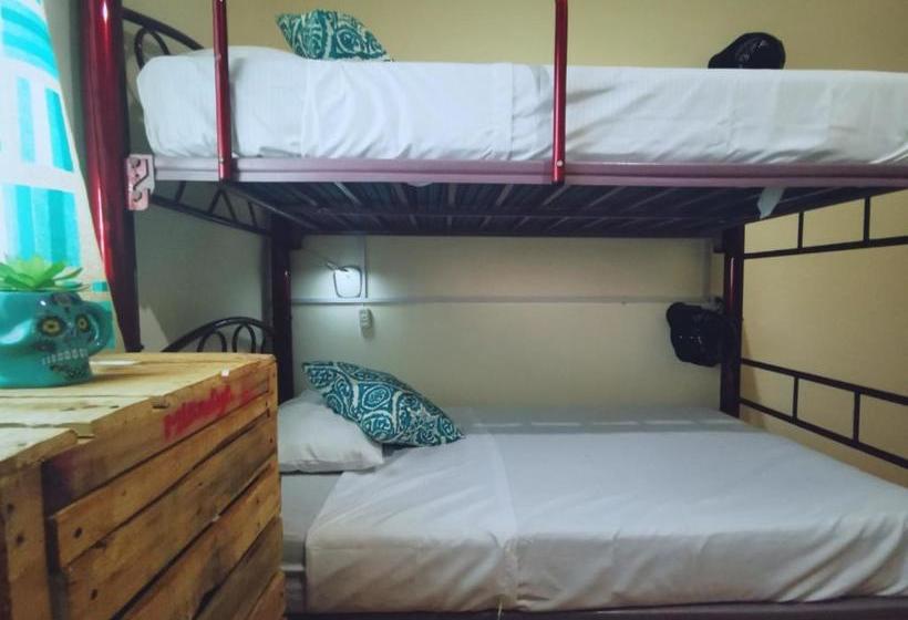 פנסיון Casa Sobek