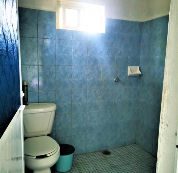 פנסיון Casa Sobek