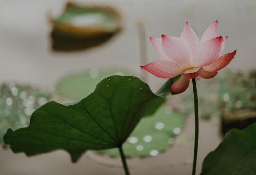 Aravinda Resort Ninh Binh