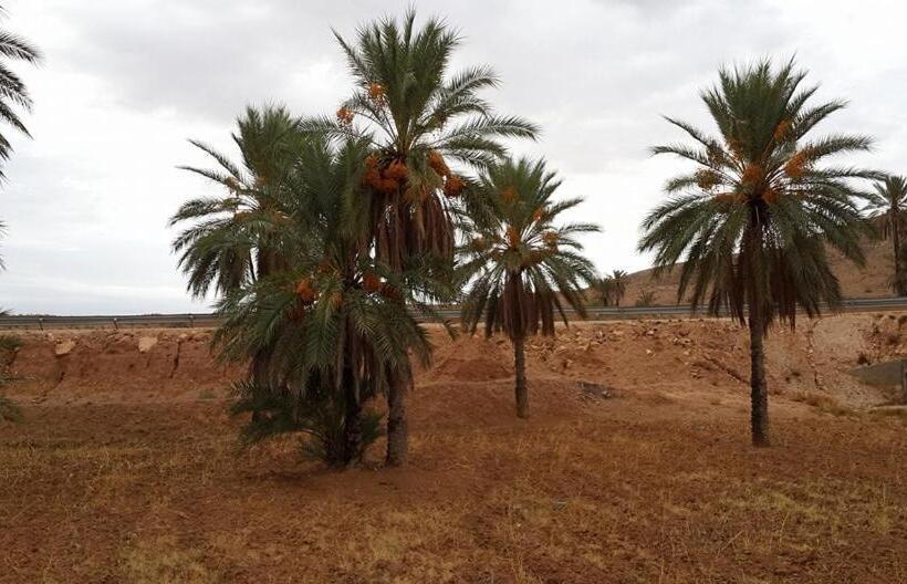 مبيت وإفطار Au Trait D Union Tijma Matmata