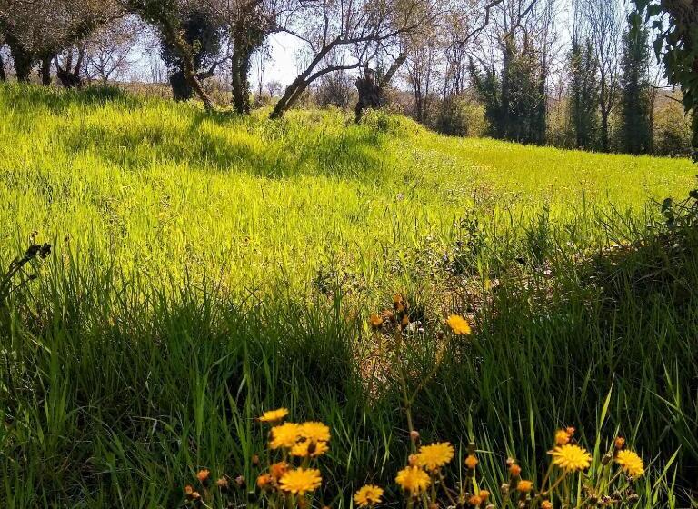 住宿加早餐  Le Piracante