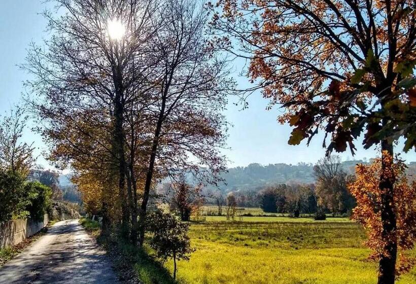 住宿加早餐  Le Piracante