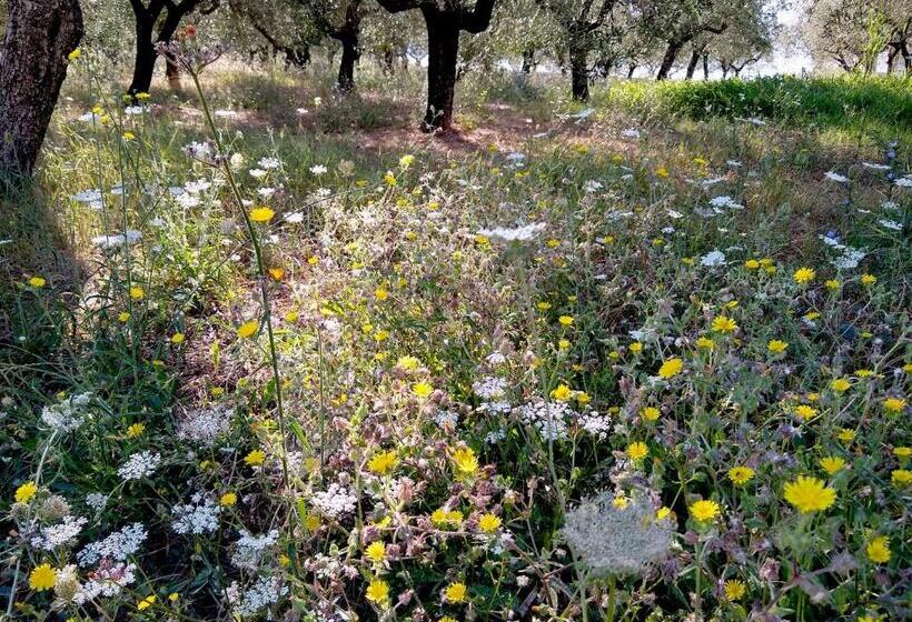 住宿加早餐  Le Piracante