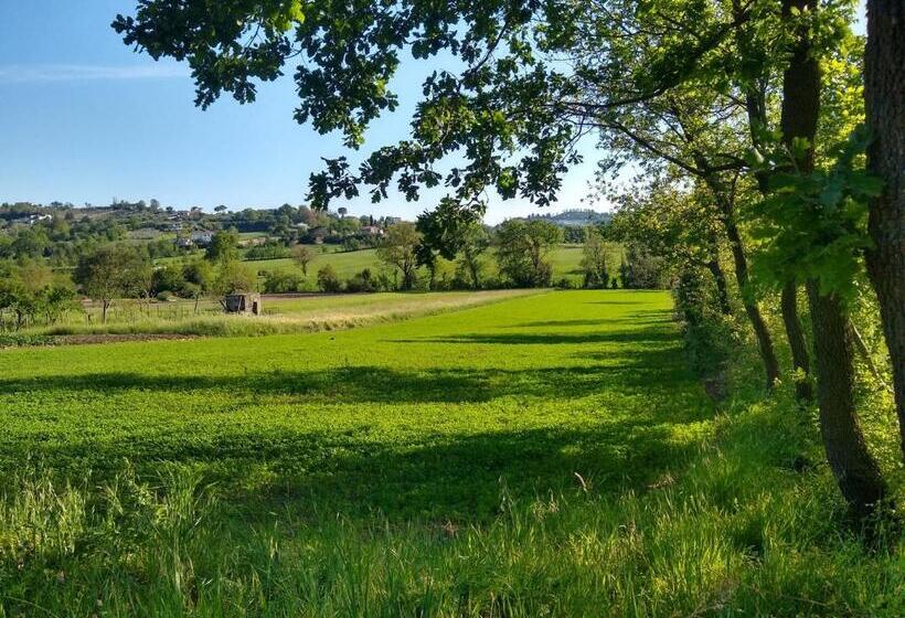 住宿加早餐  Le Piracante