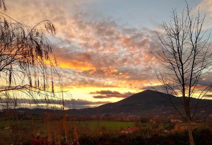 住宿加早餐  Le Piracante