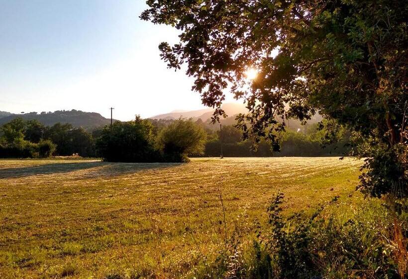 住宿加早餐  Le Piracante