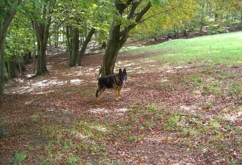 Cafe & Pension Carmen