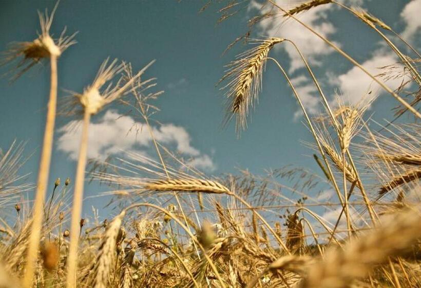 Gasthof Hotel Zur Linde