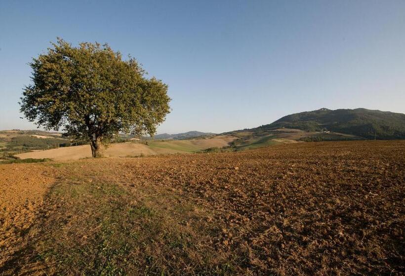 호텔 Appartamento Girasole   Agriturismo Le Selvole