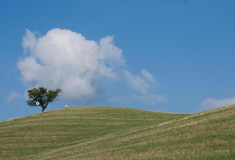 호텔 Appartamento Girasole   Agriturismo Le Selvole