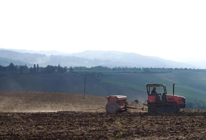 호텔 Appartamento Girasole   Agriturismo Le Selvole