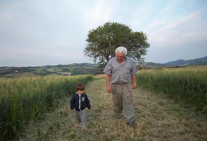 호텔 Appartamento Girasole   Agriturismo Le Selvole