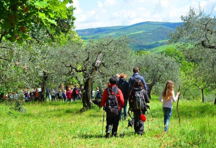 호텔 Appartamento Girasole   Agriturismo Le Selvole