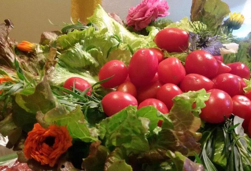 호텔 Appartamento Girasole   Agriturismo Le Selvole