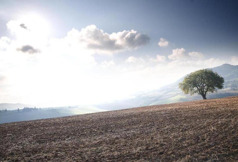 호텔 Appartamento Girasole   Agriturismo Le Selvole