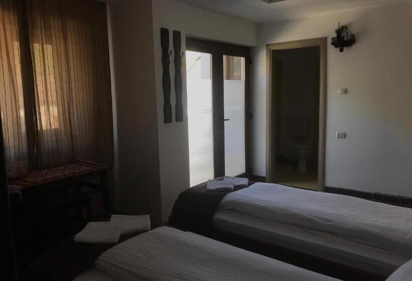 호텔 Casa Vlahilor