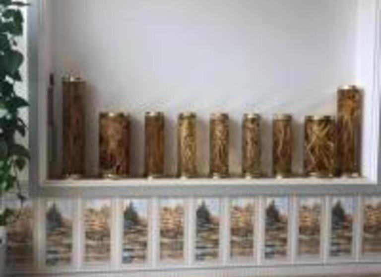 Kim Ngân Hotel Buôn Ma Thuột