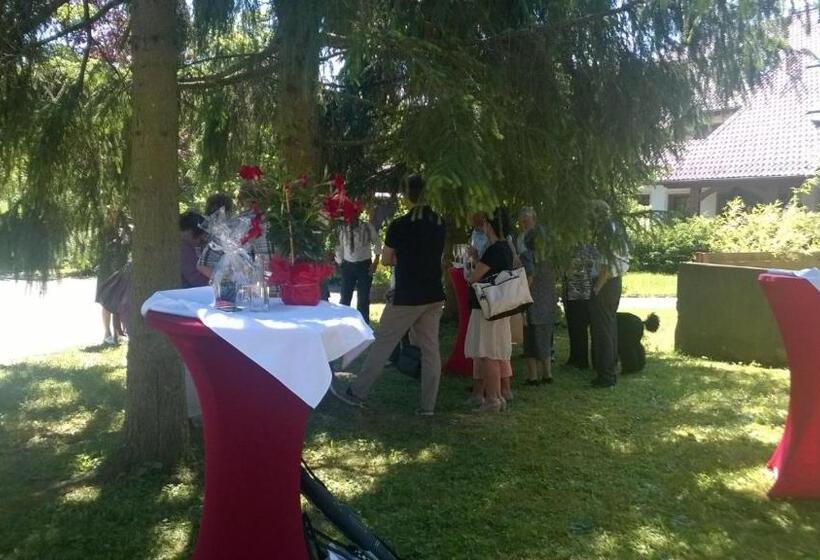 Отель Stahlecker Hof