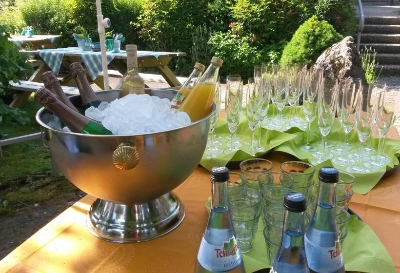 Отель Stahlecker Hof