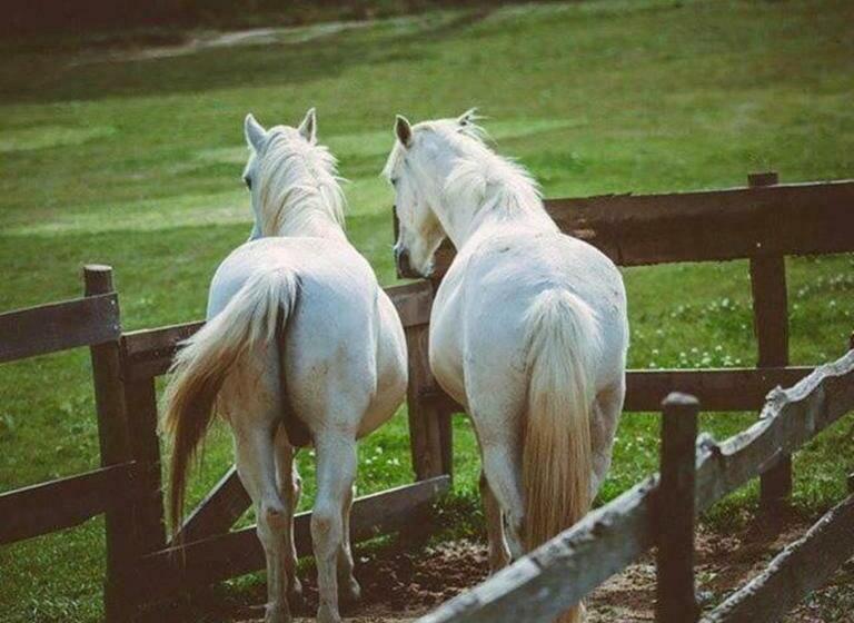 膳宿费 Domaine Sainte Colombe