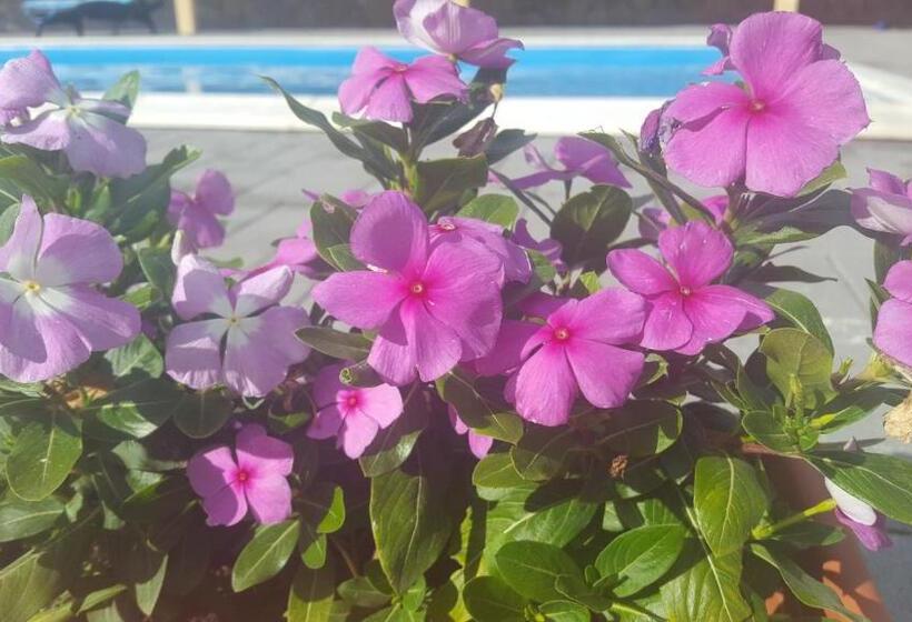 ペンション Doni Prémium Apartmanház