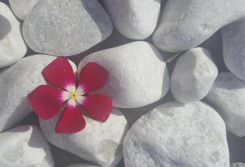 ペンション Doni Prémium Apartmanház