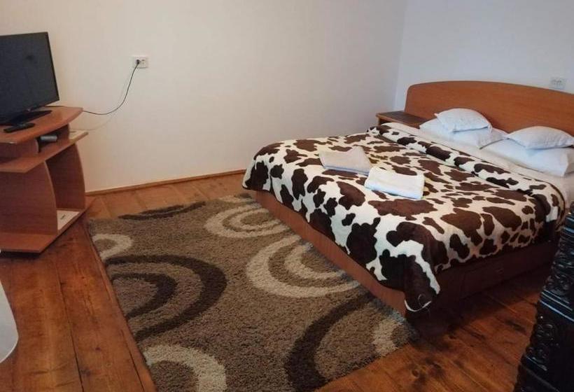 膳宿费 Gyongyver Panzio