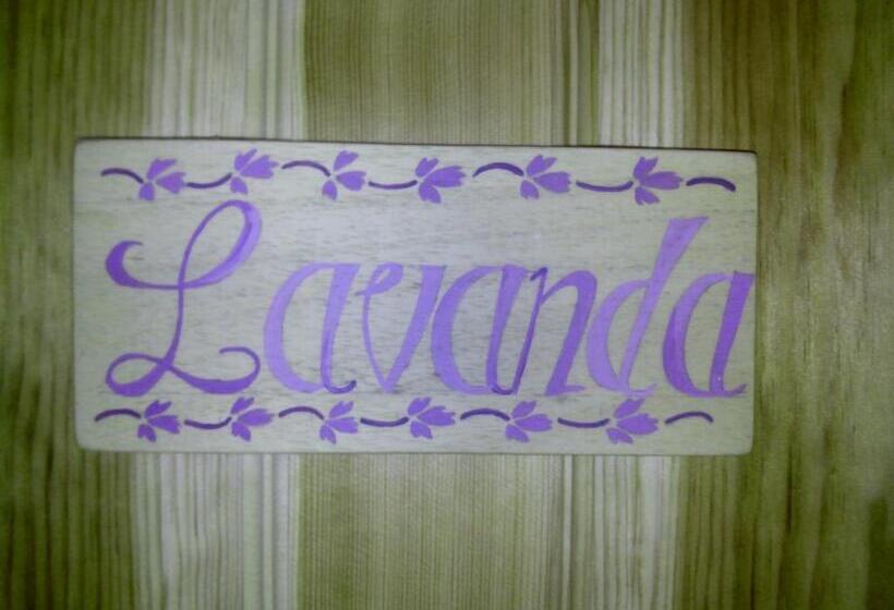 פנסיון Hostal Casa La Picota