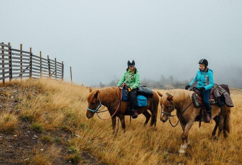 פנסיון Lucky Ranch Cabin 4