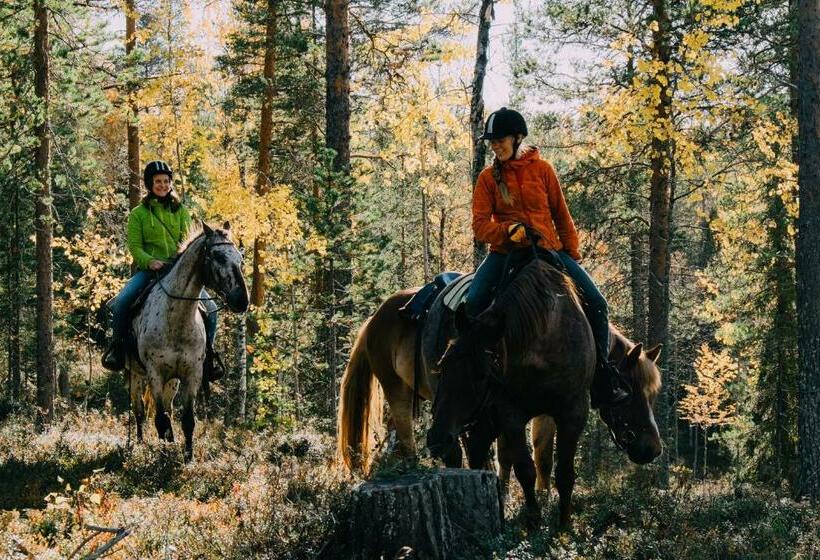 פנסיון Lucky Ranch Cabin 4
