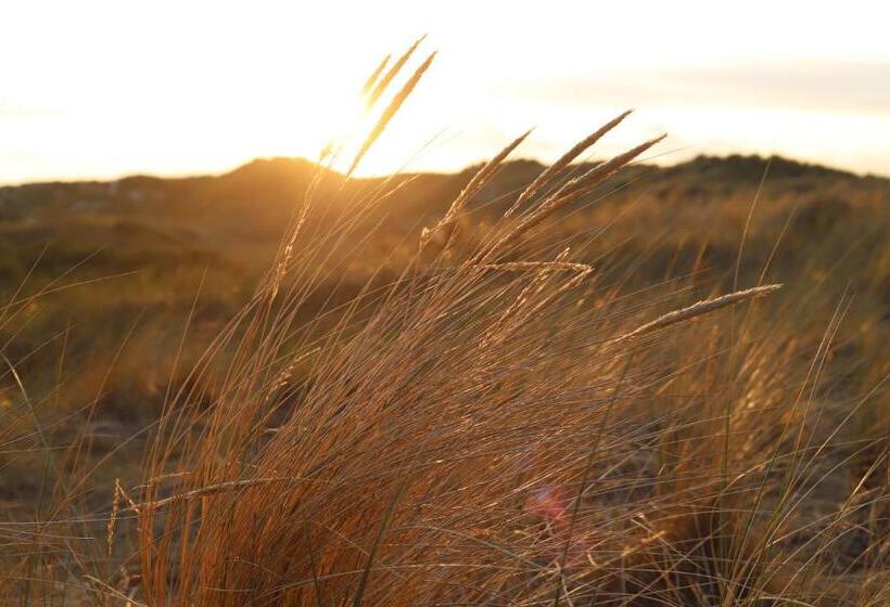 리조트 Résidence Terschelling