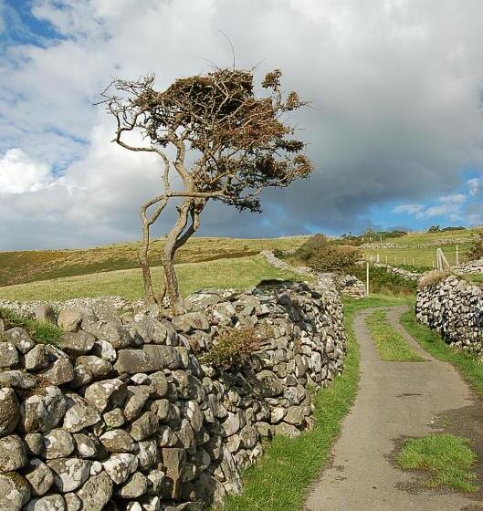 ベッドアンドブレックファースト Saint Cadfans Lodge