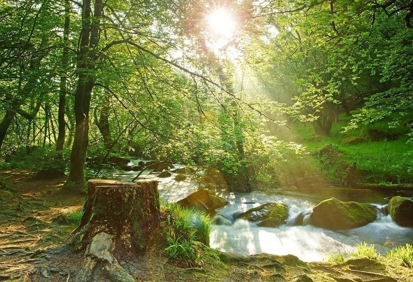 Delightful Single Storey Barn With Charming Features Near Looe