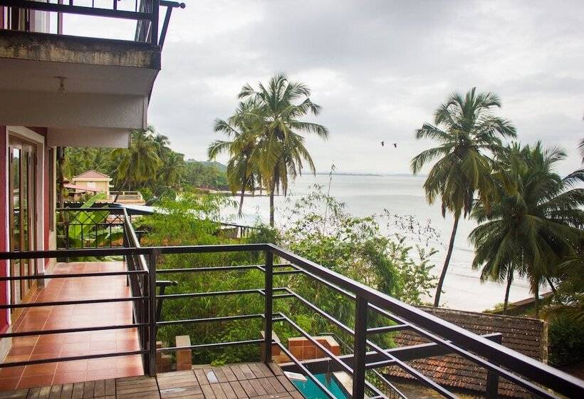 בית מלון כפרי Casa Tropicana