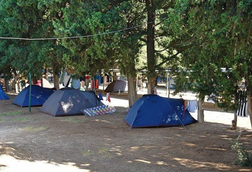 هتل Krios Beach Camping