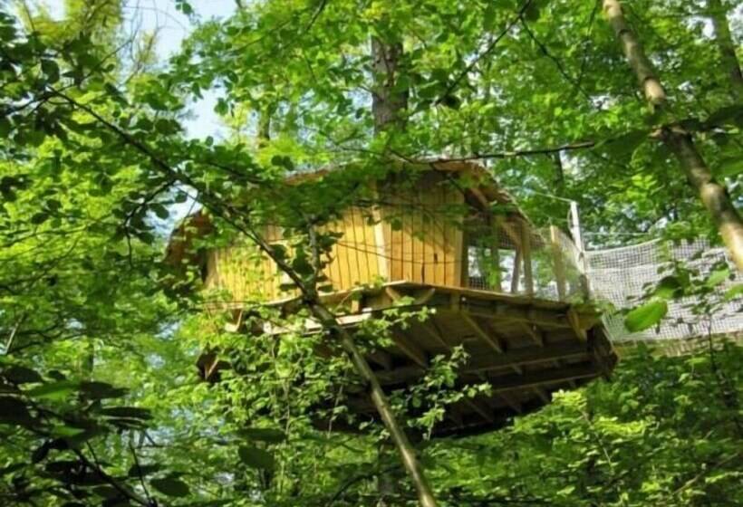 Отель Les Cabanes Du Lac Du Der