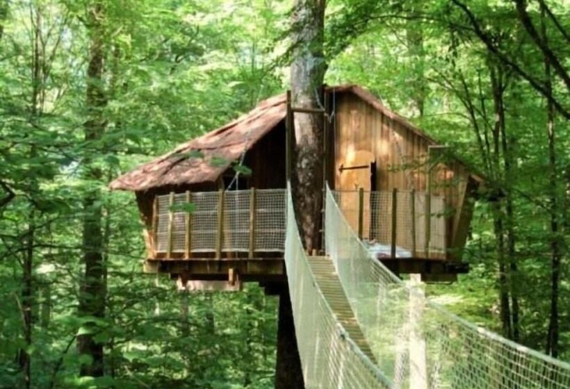 Отель Les Cabanes Du Lac Du Der