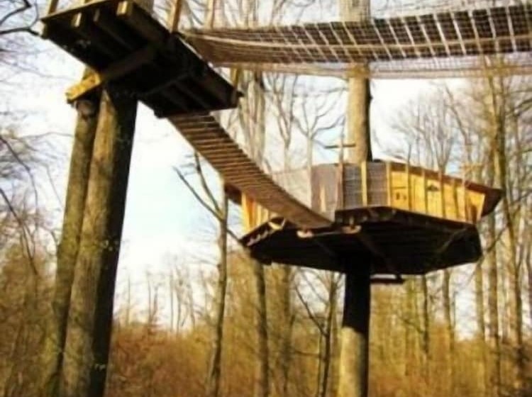 Отель Les Cabanes Du Lac Du Der