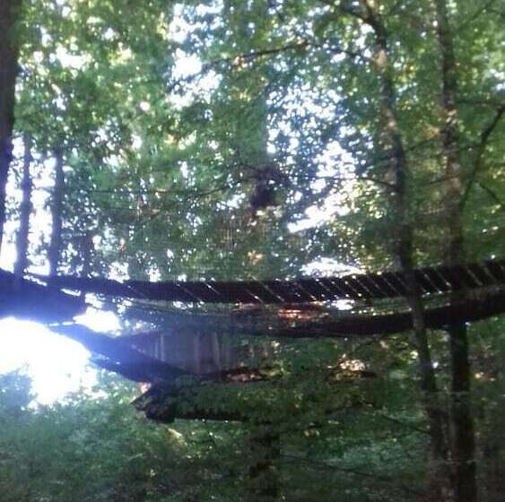 Отель Les Cabanes Du Lac Du Der