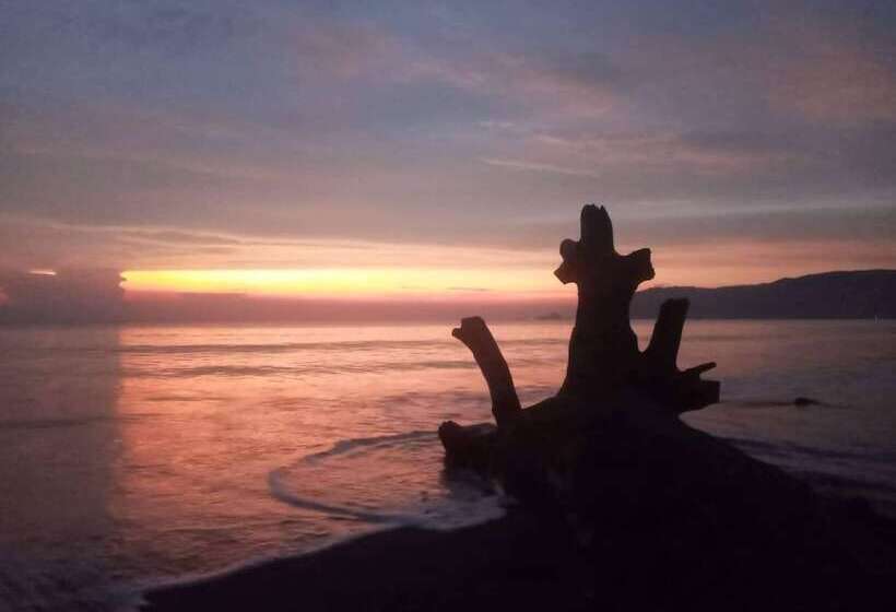 호텔 Megi Beach House